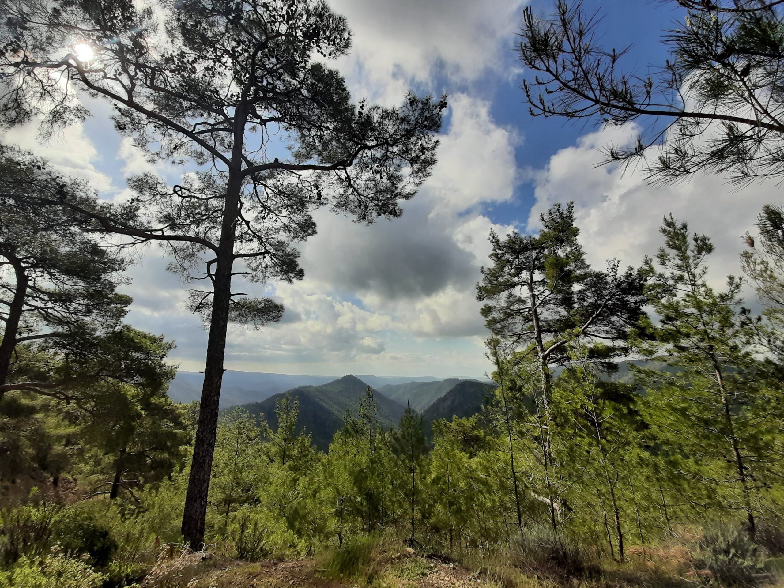 Mountain landscape with forest and blue sky with clouds